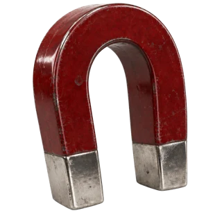 Magnet